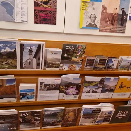 Chesa Bellaval, Haus La Vuolp 2-zimmer-dachwohung Apartamento Silvaplana