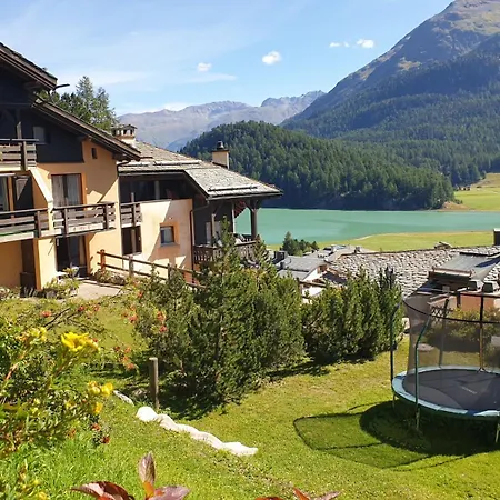 Daire Chesa Bellaval, Haus La Vuolp 2-zimmer-dachwohung Silvaplana